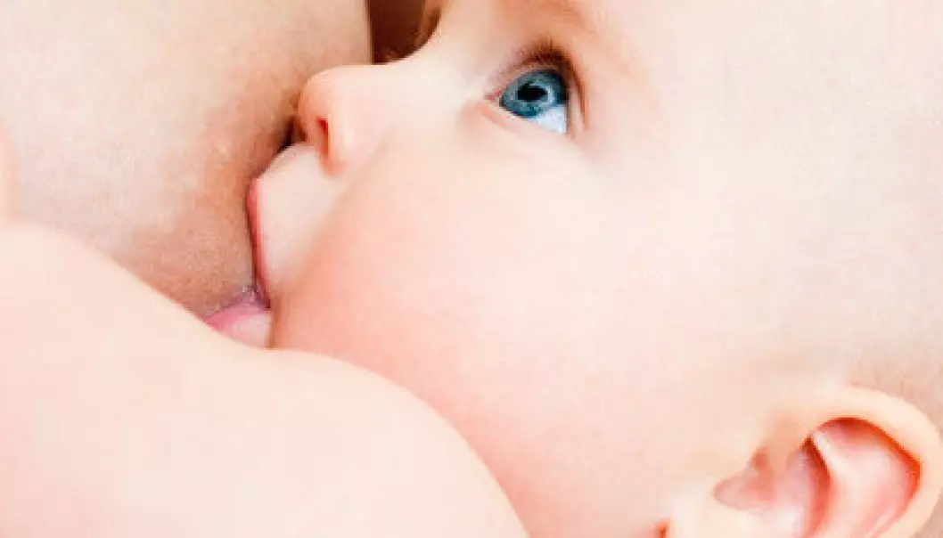 Only recently did it become possible to measure the B12 levels in breast milk and it’s this new method that’s the starting point for the new study. (Photo: Colourbox)