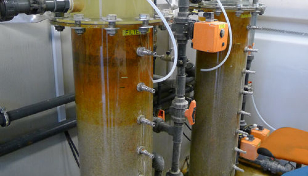 Pilot scale waterworks from Krüger. BAM is removed in the sand inside the large column. As the water sinks down, the Aminobacter bacteria eat up a significant part of the unwanted substance. (Photo: Christian N. Albers) Pilot scale waterworks from Krüger. BAM is removed in the sand inside the large column. As the water sinks down, the Aminobacter bacteria eat up a significant part of the unwanted substance. (Photo: Christian N. Albers)