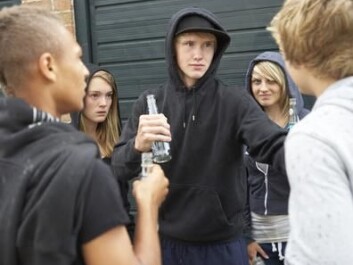 Swedish teenagers drink less than they used to. It might come as a surprise that more 15-year-old girls have been intoxicated at least once than boys. (Photo: Colourbox) Swedish teenagers drink less than they used to. It might come as a surprise that more 15-year-old girls have been intoxicated at least once than boys. (Photo: Colourbox)