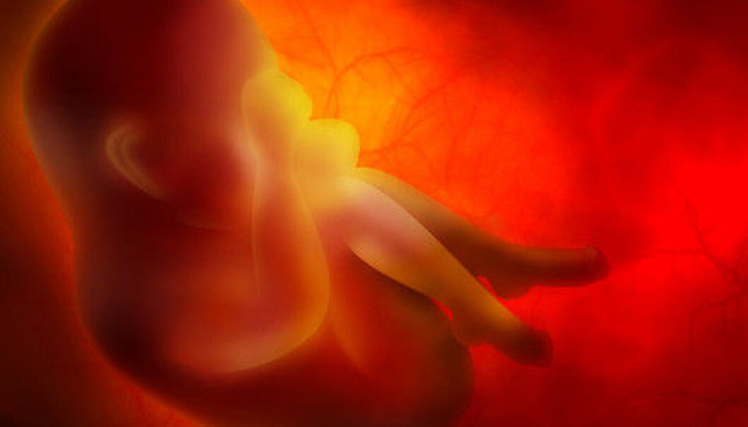 If a pregnant woman frequently drinks diet sodas, the risk of her baby having asthma by age seven is increased by 30 percent, according to a new study. If a pregnant woman frequently drinks diet sodas, the risk of her baby having asthma by age seven is increased by 30 percent, according to a new study.