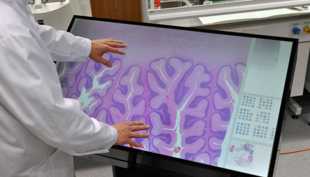 The multitouch microscope integrates two Finnish innovations and brings new dimensions into teaching and research. (Photo: Visa Noronen) The multitouch microscope integrates two Finnish innovations and brings new dimensions into teaching and research. (Photo: Visa Noronen)