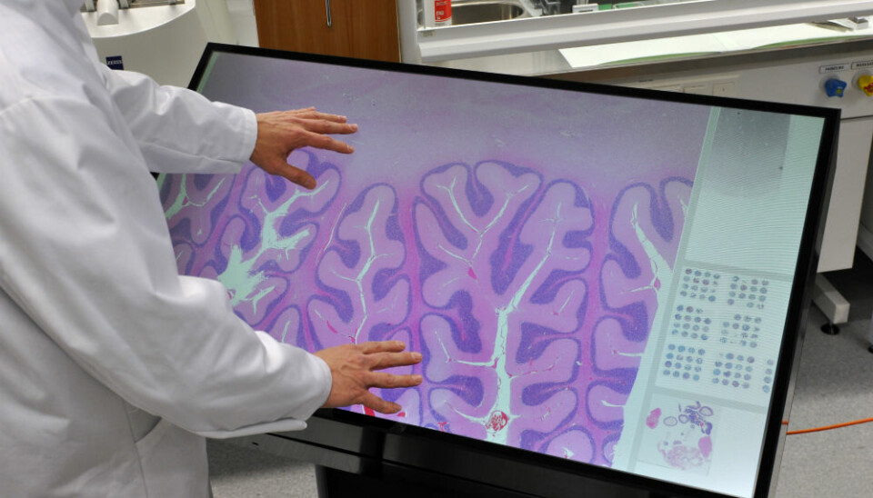 The multitouch microscope integrates two Finnish innovations and brings new dimensions into teaching and research. (Photo: Visa Noronen)
