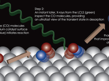 This illustration shows the different steps that occur when CO molecules start to break away from the surface of a catalyst. A laser pulse triggers the molecular reaction, while an X-ray laser pulse examines and ‘takes photographs’ of the molecular movements. (Graphic: Hirohito Ogasawara/SLAC National Accelerator Laboratory.) This illustration shows the different steps that occur when CO molecules start to break away from the surface of a catalyst. A laser pulse triggers the molecular reaction, while an X-ray laser pulse examines and ‘takes photographs’ of the molecular movements. (Graphic: Hirohito Ogasawara/SLAC National Accelerator Laboratory.)