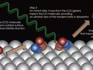 This illustration shows the different steps that occur when CO molecules start to break away from the surface of a catalyst. A laser pulse triggers the molecular reaction, while an X-ray laser pulse examines and ‘takes photographs’ of the molecular movements. (Graphic: Hirohito Ogasawara/SLAC National Accelerator Laboratory.)