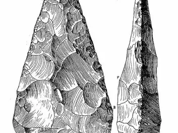 A coup de poing (French for ‘blow of the fist’) is a Lower Paleolithic stone hand axe, pointed or ovate in shape with sharp cutting edges.              (Photo: Wikimedia Commons)