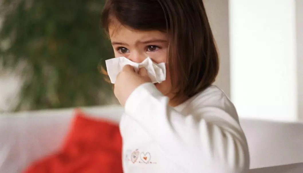 A common cold caused by a rhinovirus can trigger asthma in children with a particular gene. Unless you manage to fend off all colds, there is nothing you can do – neither as a parent nor as a child – to prevent it from happening. (Photo: Colourbox)