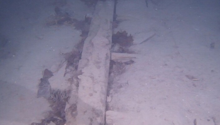 Archaeologists reveal new finds from legendary Swedish warship