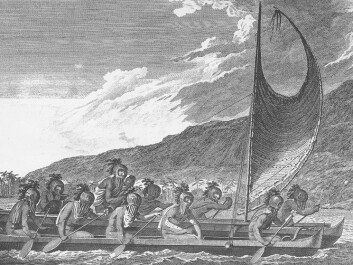 Polynesian tribes exchanged gifts to form alliances and friendships. (Illustration: John Webber) Polynesian tribes exchanged gifts to form alliances and friendships. (Illustration: John Webber)