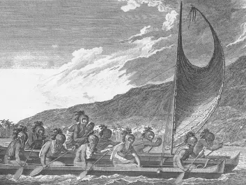 Polynesian tribes exchanged gifts to form alliances and friendships. (Illustration: John Webber)