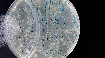 Breakthrough in our understanding of bacteria