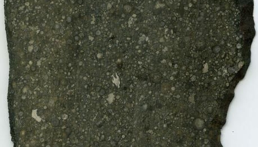 An inclusion (red circle) in the Allende meteorite contained new information about the earliest days of our Solar System. (Photo: The Centre for Star and Planet Formation) An inclusion (red circle) in the Allende meteorite contained new information about the earliest days of our Solar System. (Photo: The Centre for Star and Planet Formation)