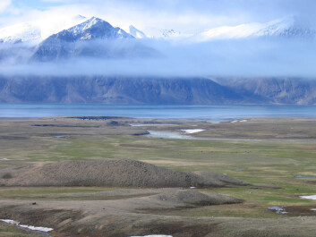 Since the monitoring began, the area has become 2.5 degrees warmer on average, which is a very dramatic increase in temperature. (Photo: Toke Thomas Høye) Since the monitoring began, the area has become 2.5 degrees warmer on average, which is a very dramatic increase in temperature. (Photo: Toke Thomas Høye)