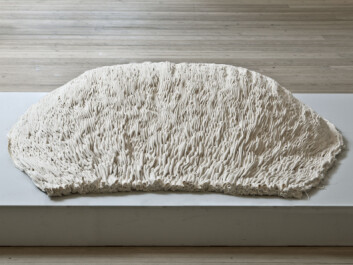 ’Priel’, the textile turtle, is another of Bendixen’s designs. Priel is about one metre long and can be placed in a room to take the edge off the noise while also adding an aesthetic element to the room. (Photo: Ole Akhøj) ’Priel’, the textile turtle, is another of Bendixen’s designs. Priel is about one metre long and can be placed in a room to take the edge off the noise while also adding an aesthetic element to the room. (Photo: Ole Akhøj)