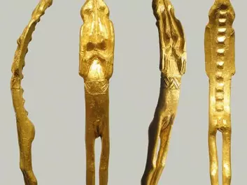 Close-up of the golden figurine. Note the belt and the rings around the feet and the arms. (Photo: René Laursen)
