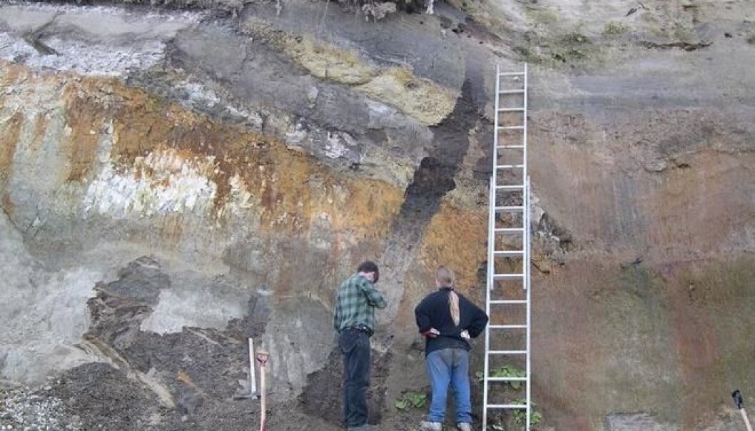 These cliffs contain traces of a hitherto unknown interglacial period in Denmark. The layers in the cliff are 340,000 years old. (Photo: Bent Odgaard) These cliffs contain traces of a hitherto unknown interglacial period in Denmark. The layers in the cliff are 340,000 years old. (Photo: Bent Odgaard)