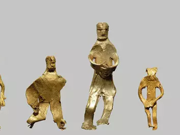 A parade of the five golden figurines that have been found so far in this exciting field on Bornholm. (Photo: René Laursen)
