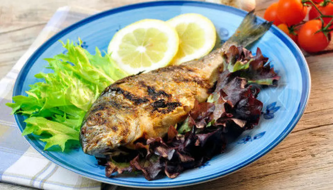 The healthy choice – eating fish – may not be healthy for our hearts after all. It may actually increase the inflammation that leads to blood clots. This is a topic for upcoming studies after some rather startling findings in a new study of the Inuit diet. (Photo: Colourbox)