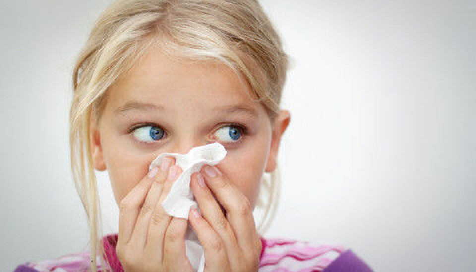 Scientists have now made a great step towards understanding the genetic causes of allergies. (Photo: Colourbox)