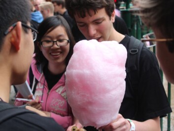Young physicists scrutinise candyfloss in Tivoli Gardens. (Photo: Asbjørn Mølgaard Sørensen) Young physicists scrutinise candyfloss in Tivoli Gardens. (Photo: Asbjørn Mølgaard Sørensen)