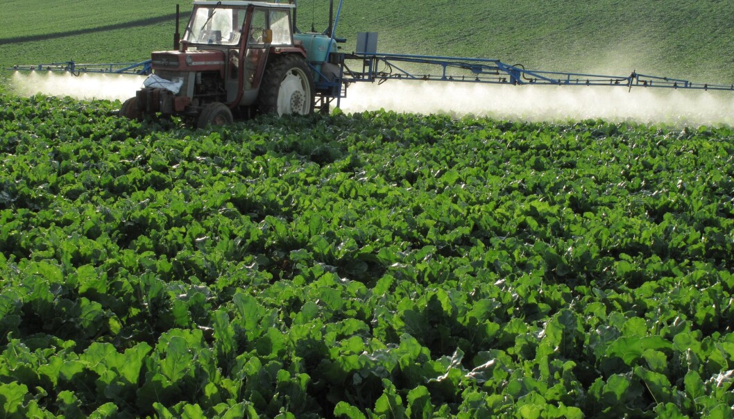 Bacteria use the nitrogen in fertilisers to produce nitrous oxide. Less fertiliser therefore means less nitrous oxide. (Photo: Colourbox) Bacteria use the nitrogen in fertilisers to produce nitrous oxide. Less fertiliser therefore means less nitrous oxide. (Photo: Colourbox)