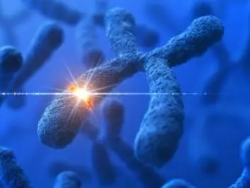 Some genes are only found on the X or Y chromosomes. They can reveal the gender of the person being studied. (Photo: Istockphoto)