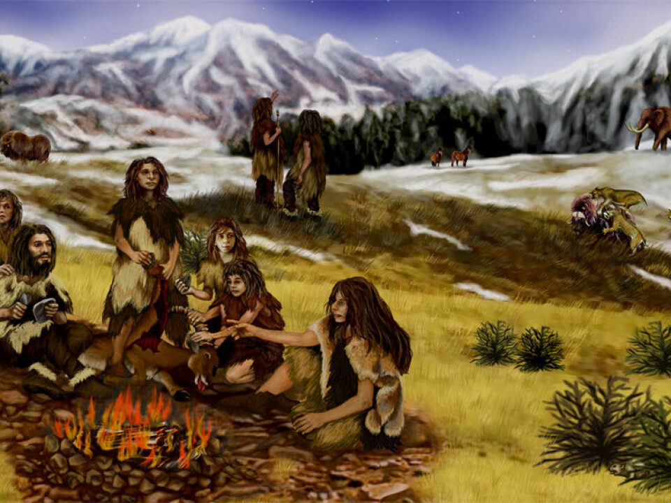 Gene sequences from Neanderthals provided results for determining gender that were as sure-fire as for our species, Homo sapiens. (Illustration: NASA)