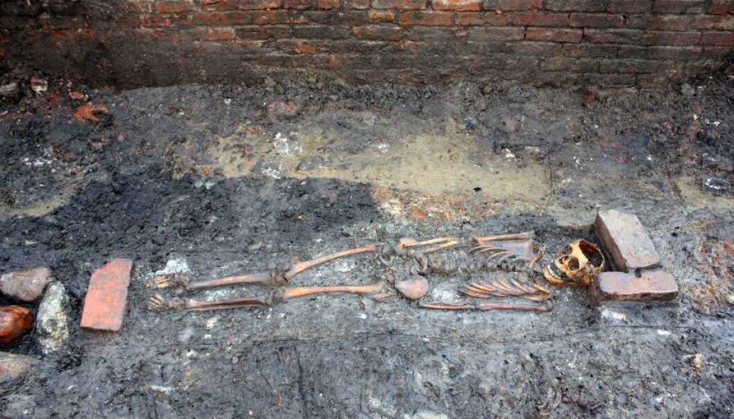 The soil surrounding the skeleton of a child that was buried at a Danish cathedral 800 years ago contains information about the child’s last day. (Photo: Sydvestjyske Museer, Ribe) The soil surrounding the skeleton of a child that was buried at a Danish cathedral 800 years ago contains information about the child’s last day. (Photo: Sydvestjyske Museer, Ribe)