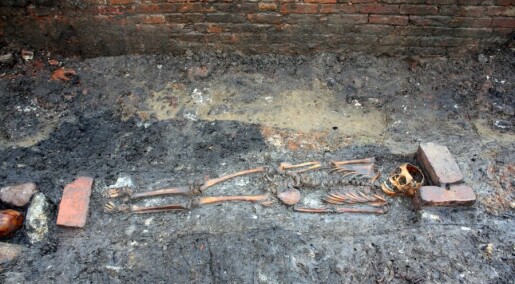 Decomposed organs reveal skeletons’ last days