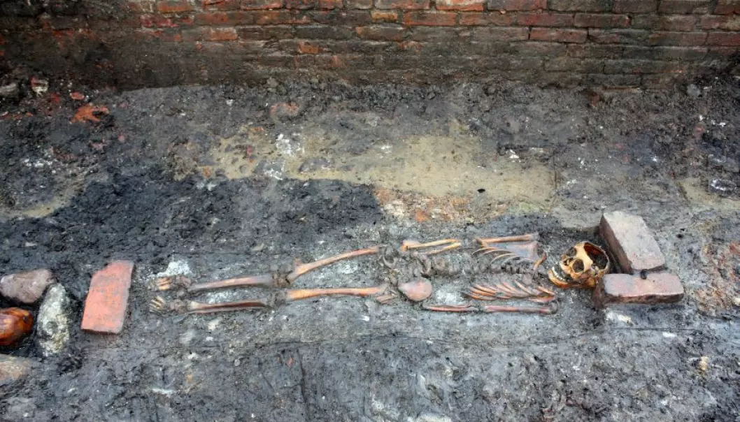 The soil surrounding the skeleton of a child that was buried at a Danish cathedral 800 years ago contains information about the child’s last day. (Photo: Sydvestjyske Museer, Ribe)
