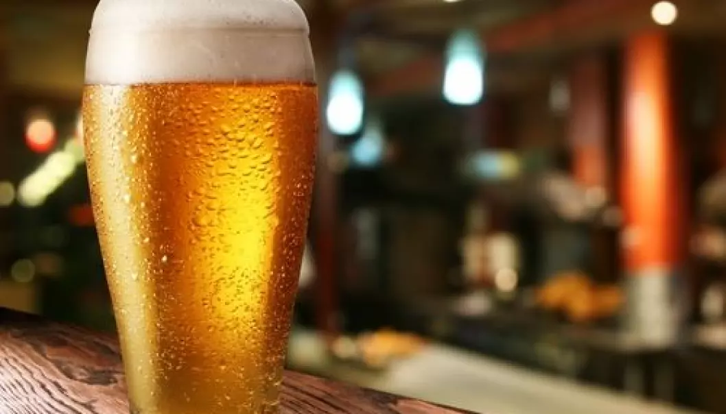 Ideally, a beer should taste of the ingredients that went into the beer. A new brew house at a Danish university aims to help the country’s smaller breweries to produce the perfect brew with no weird aftertaste. (Photo: Shutterstock)