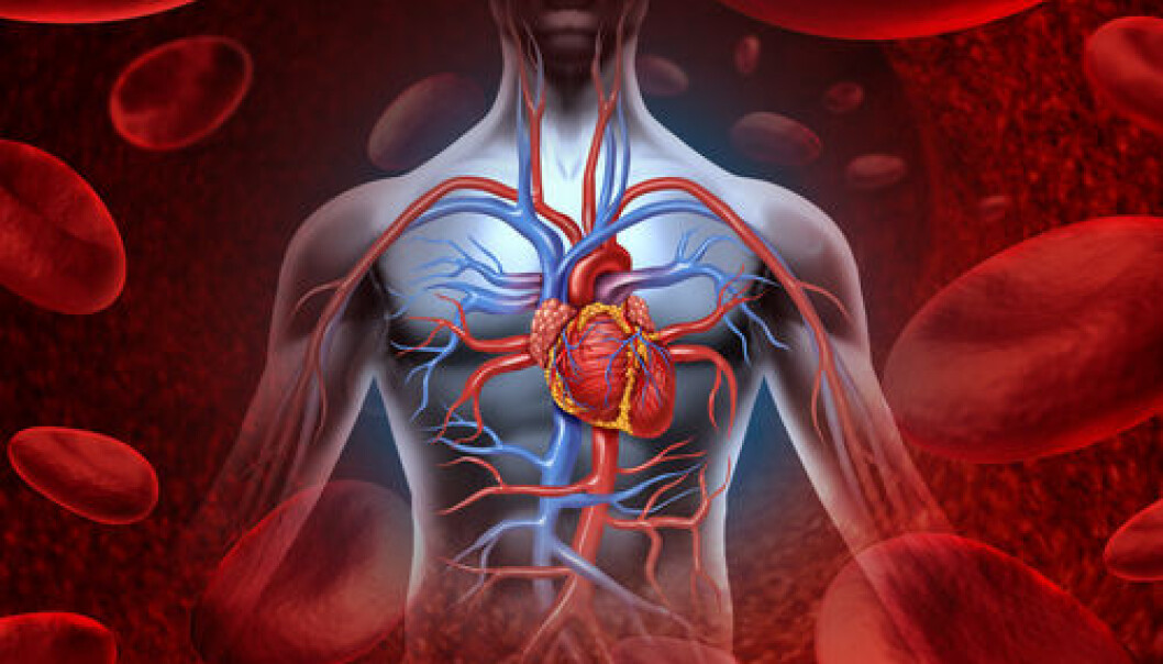 All cells in the human body contain enzymes known as Na+/K+-ATPase, or sodium pump enzymes, which help keep us alive. If certain pumps are malfunctioning, it could have fatal consequences for the heartbeat, blood circulation, brain function, etc. (Photo: <a href=" http://www.shutterstock.com/" target="_blank">Shutterstock</a>) All cells in the human body contain enzymes known as Na+/K+-ATPase, or sodium pump enzymes, which help keep us alive. If certain pumps are malfunctioning, it could have fatal consequences for the heartbeat, blood circulation, brain function, etc. (Photo: <a href=" http://www.shutterstock.com/" target="_blank">Shutterstock</a>)