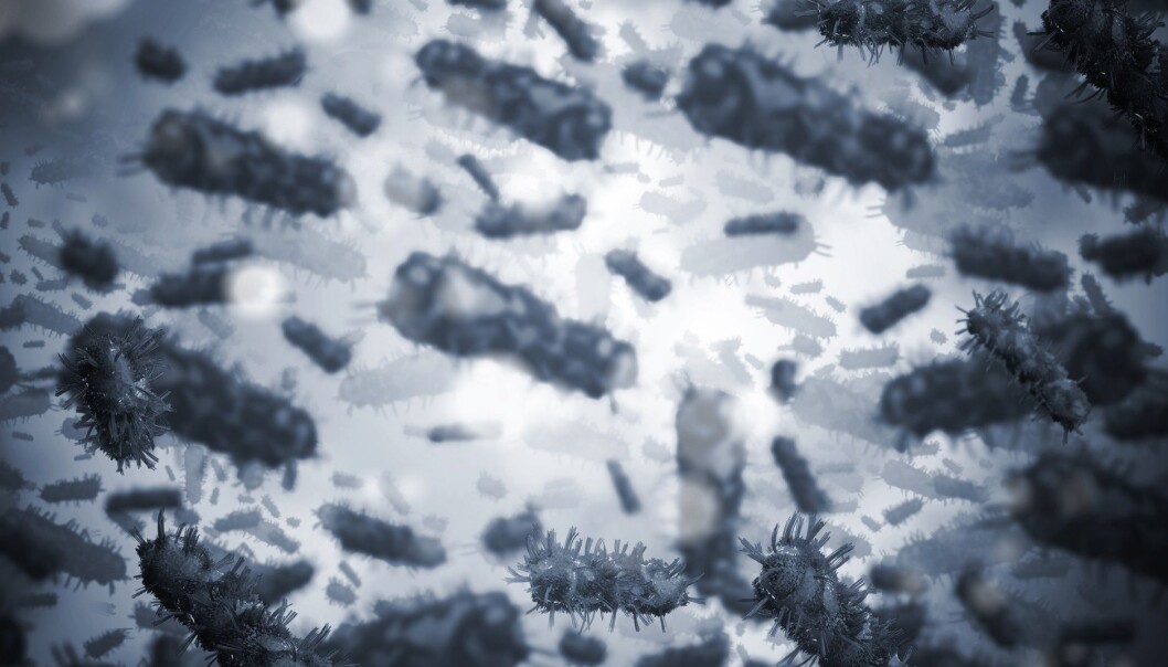 Bacteria are attacked by viruses that seek hosts in which they can reproduce sexually. This forces the bacteria to adapt very quickly, resulting in a great biodiversity on the seabed. (Photo: Shutterstock) Bacteria are attacked by viruses that seek hosts in which they can reproduce sexually. This forces the bacteria to adapt very quickly, resulting in a great biodiversity on the seabed. (Photo: Shutterstock)