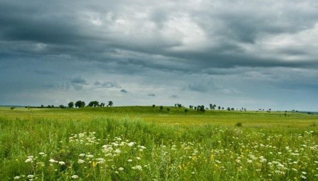 Rainwater is filled with phosphorus when it falls down on fertilised fields. (Photo: Colourbox) Rainwater is filled with phosphorus when it falls down on fertilised fields. (Photo: Colourbox)