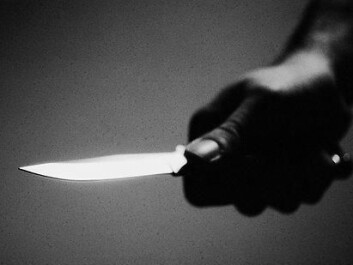 The level of violence used to control the victim can also be factored into efforts to find rapists. (Photo: Colourbox) The level of violence used to control the victim can also be factored into efforts to find rapists. (Photo: Colourbox)