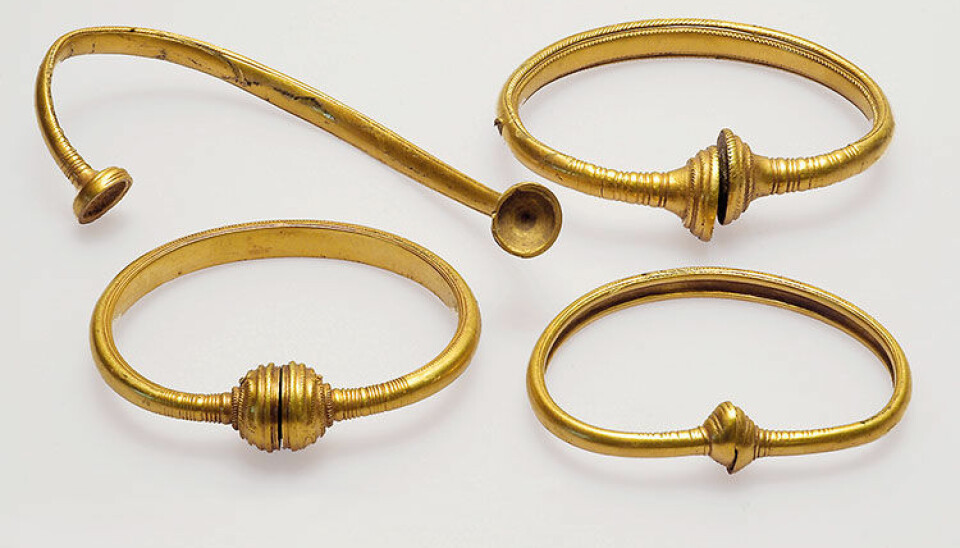 The four newly-found rings from Boeslunde. (Photo: Museum Vestsjælland)