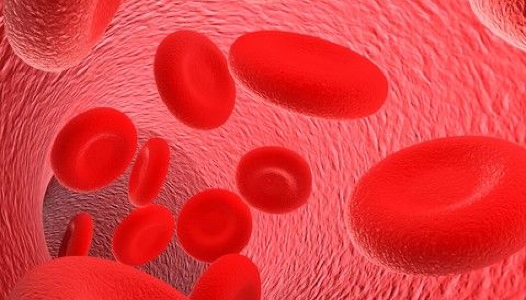 Hemoglobin is one of the most important molecules in our bodies, as it transports oxygen in the blood. Free hemoglobin, on the other hand, is dangerous as it can damage our cells. A new project sets out to figure out how the body deals with this problem. (Photo: Colourbox) Hemoglobin is one of the most important molecules in our bodies, as it transports oxygen in the blood. Free hemoglobin, on the other hand, is dangerous as it can damage our cells. A new project sets out to figure out how the body deals with this problem. (Photo: Colourbox)