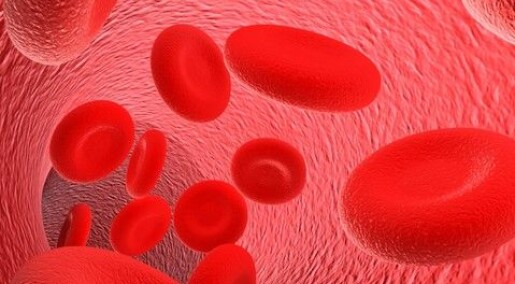 A targeted defence against harmful hemoglobin