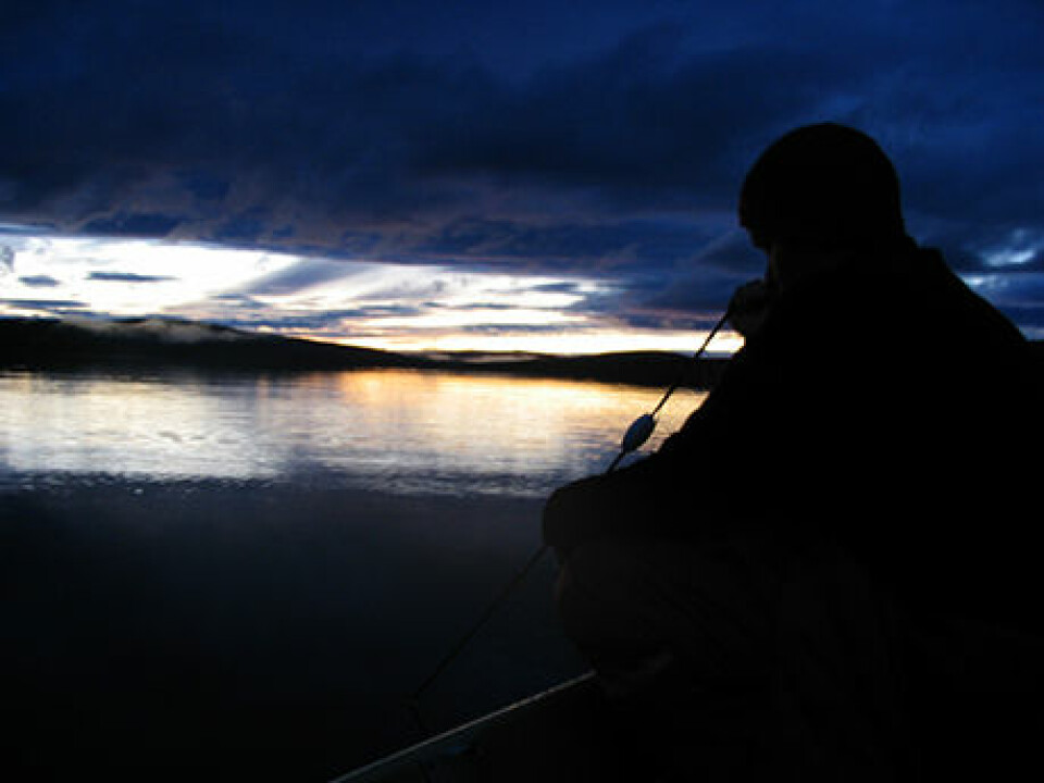 Fishing under test conditions - nets are cast in the dusk in Northern Lapland. (Photo by Kimmo Kahilainen)