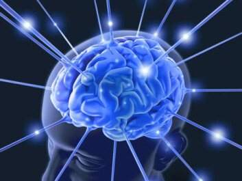 Our brain consists of billions of neurons that are connected through a huge number of synapses. This structure enables us to process and react to sensory impressions with stunning speed. (Photo: Colourbox) Our brain consists of billions of neurons that are connected through a huge number of synapses. This structure enables us to process and react to sensory impressions with stunning speed. (Photo: Colourbox)