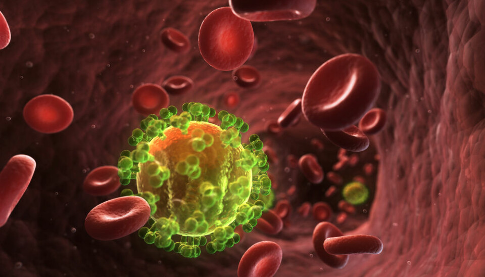 A protein responsible for raising the red flag when HIV enters the body’s cells has been discovered. New understanding of molecular mechanism could prove valuable in search for better HIV treatment, say scientists. (Photo: Shutterstock)