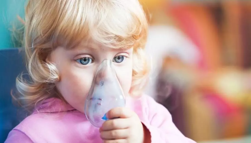Severe asthma attacks place a great burden on children and their families. Danish researchers are at the forefront of finding a cause, as they can hand pick the sickest children from Denmark’s unique national health registries of hospitalisation. (Photo: Shutterstock)