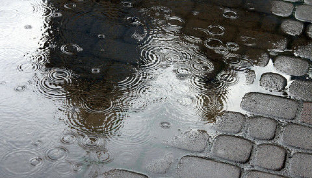 Although it would appear that rainwater is clean, it does contain a wide variety of substances. (Photo: Colourbox) Although it would appear that rainwater is clean, it does contain a wide variety of substances. (Photo: Colourbox)