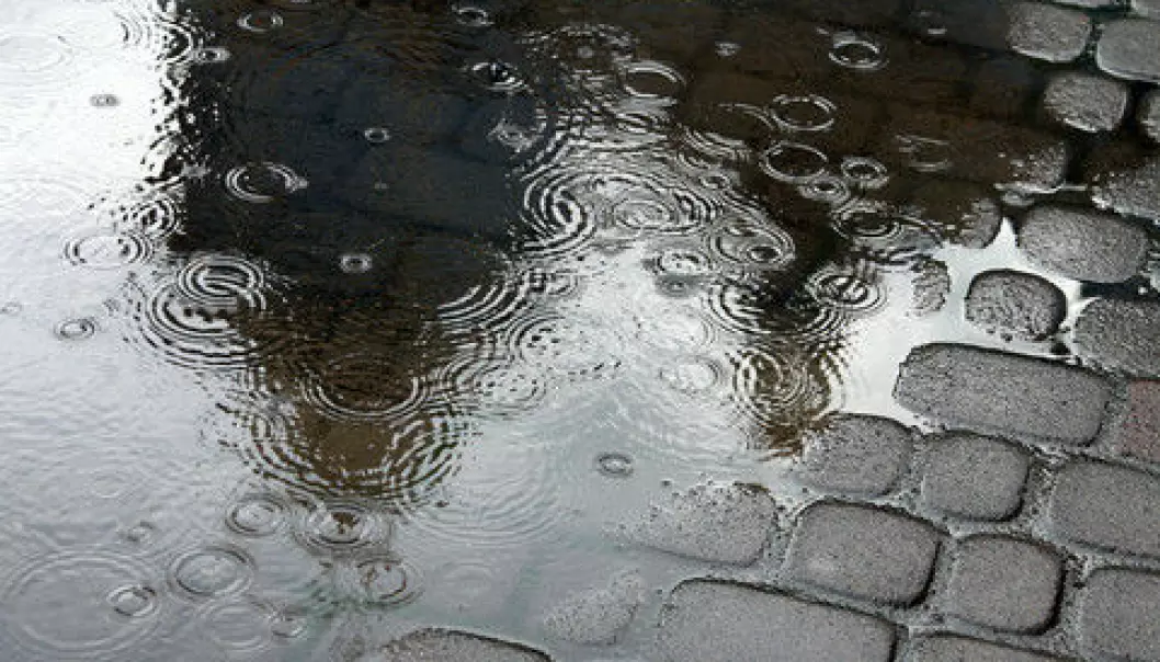 Although it would appear that rainwater is clean, it does contain a wide variety of substances. (Photo: Colourbox)
