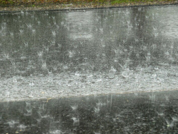 The type and concentrations of substances in the rainwater vary depending on the catchment type. The cleanest water come from natural areas and villages, while the most polluted water comes from city centres and industrial areas. (Photo: Colourbox) The type and concentrations of substances in the rainwater vary depending on the catchment type. The cleanest water come from natural areas and villages, while the most polluted water comes from city centres and industrial areas. (Photo: Colourbox)