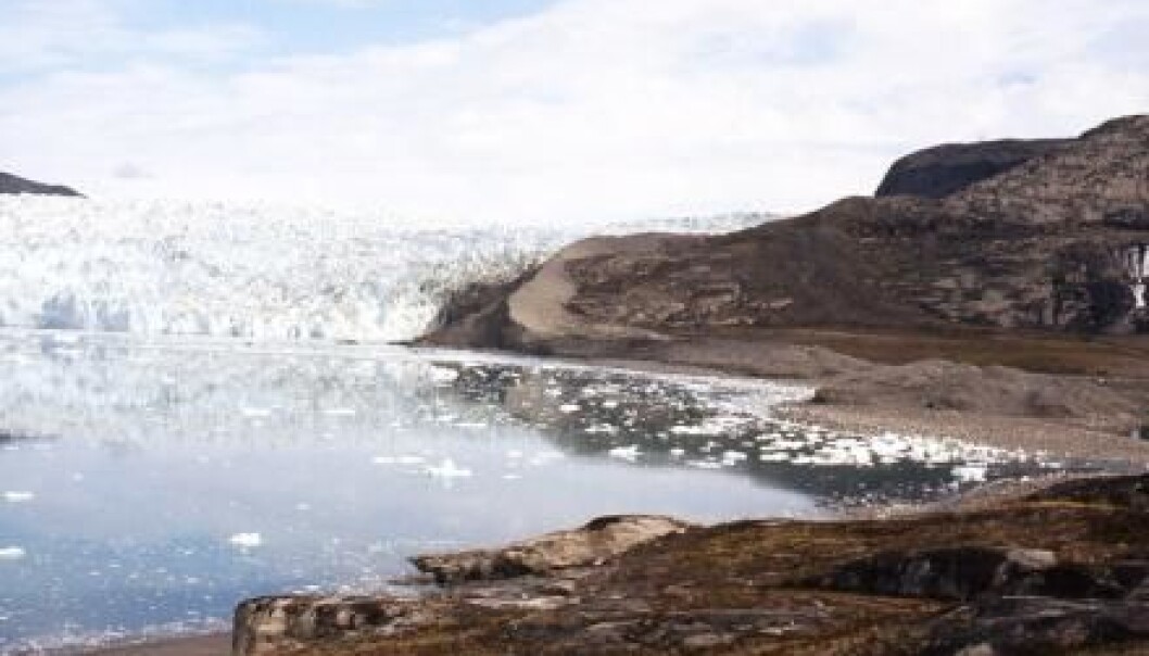 The Greenland Ice Sheet has shrunk in recent years. However, new research can now specify a period in which the ice sheet was much smaller than today. (Photo: Ole Bennike) The Greenland Ice Sheet has shrunk in recent years. However, new research can now specify a period in which the ice sheet was much smaller than today. (Photo: Ole Bennike)