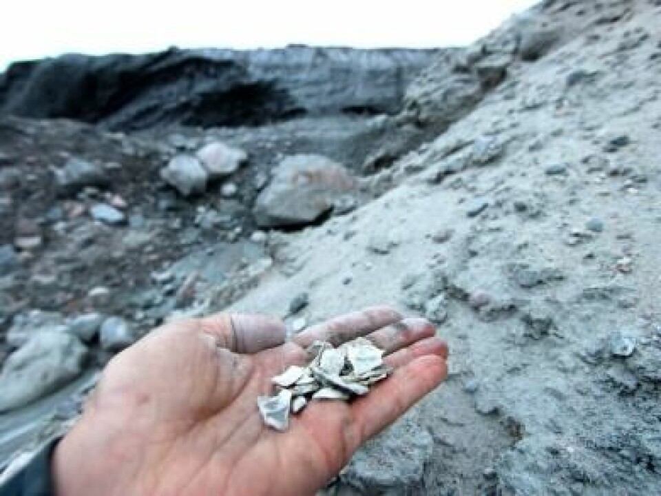 Growing ice sheets behave like bulldozers, pushing rocks, boulders and other debris into heaps of rubble called moraines. By studying the ratio of different amino acid forms in shell fragments found in these moraines, scientists can determine where there was life before it all became covered in ice. (Photo: Jason Briner)