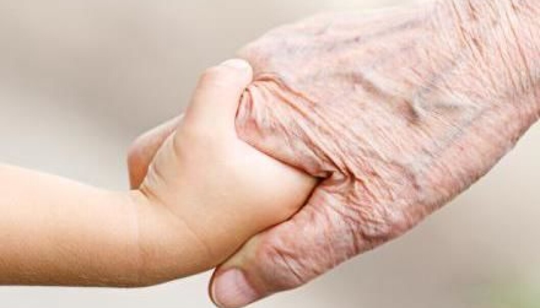 The older we humans get, the greater our risk of dying – just as the prevailing evolutionary theories of ageing state. However, if we take a look at the desert tortoise and certain marine animals and plants, we get an entirely different picture – here, the oldest members of a group have a lower risk of dying than the young members. (Photo: Shutterstock) The older we humans get, the greater our risk of dying – just as the prevailing evolutionary theories of ageing state. However, if we take a look at the desert tortoise and certain marine animals and plants, we get an entirely different picture – here, the oldest members of a group have a lower risk of dying than the young members. (Photo: Shutterstock)