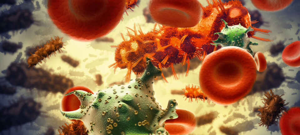 Tolerant bacteria make antibiotics fail