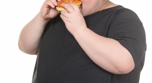 New food to speed up satiety in overweight people