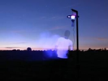 Night traps were set up to catch the tiny midges. The midges are attracted to ultraviolet light and are then sucked into a container below the trap. (Photo: Carsten Kirkeby) Night traps were set up to catch the tiny midges. The midges are attracted to ultraviolet light and are then sucked into a container below the trap. (Photo: Carsten Kirkeby)